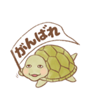 【推し活】のんびり亀（個別スタンプ：17）