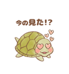 【推し活】のんびり亀（個別スタンプ：22）