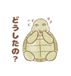 【推し活】のんびり亀（個別スタンプ：37）