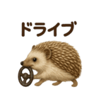 リアルハリネズミの日常スタンプ｜お出かけ（個別スタンプ：5）