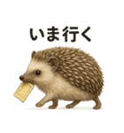 リアルハリネズミの日常スタンプ｜お出かけ（個別スタンプ：13）