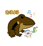 かわいいカエルたち shun（個別スタンプ：7）
