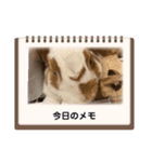 何に使うか分からないんです。フッくん（個別スタンプ：5）