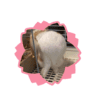 何に使うか分からないんです。フッくん（個別スタンプ：6）