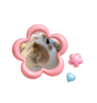 何に使うか分からないんです。フッくん（個別スタンプ：9）