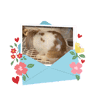 何に使うか分からないんです。フッくん（個別スタンプ：13）