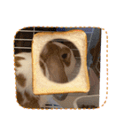 何に使うか分からないんです。フッくん（個別スタンプ：14）