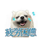 賢賢犬（かしこかしこドッグ）4（個別スタンプ：7）