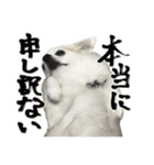 賢賢犬（かしこかしこドッグ）4（個別スタンプ：15）