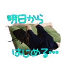 デカスタンプあり（個別スタンプ：1）