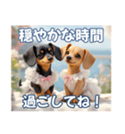 ミニチュアダックスAI3D（個別スタンプ：15）