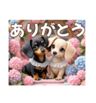 ミニチュアダックスAI3D（個別スタンプ：24）