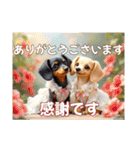 ミニチュアダックスAI3D（個別スタンプ：25）