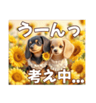 ミニチュアダックスAI3D（個別スタンプ：28）