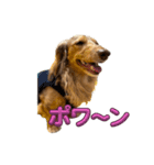 ぼく、りゅうちゃん（メッセージあり）！！（個別スタンプ：2）