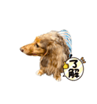 ぼく、りゅうちゃん（メッセージあり）！！（個別スタンプ：8）