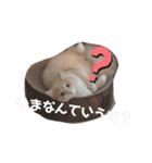 だいじぃぃん 公開（個別スタンプ：12）