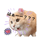 だいじぃぃん 公開（個別スタンプ：17）