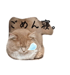 だいじぃぃん 公開（個別スタンプ：19）