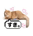 だいじぃぃん 公開（個別スタンプ：24）