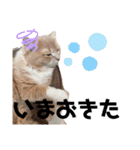 だいじぃぃん 公開（個別スタンプ：30）