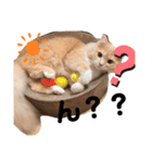 だいじぃぃん 公開（個別スタンプ：31）