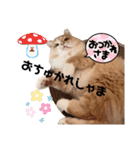 だいじぃぃん 公開（個別スタンプ：35）