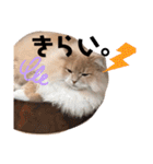だいじぃぃん 公開（個別スタンプ：38）