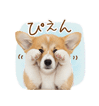 ゆるかわ！コーギーの日常スタンプ（個別スタンプ：4）