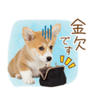 ゆるかわ！コーギーの日常スタンプ（個別スタンプ：10）