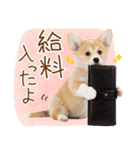 ゆるかわ！コーギーの日常スタンプ（個別スタンプ：11）