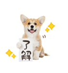 ゆるかわ！コーギーの日常スタンプ（個別スタンプ：15）