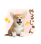 ゆるかわ！コーギーの日常スタンプ（個別スタンプ：27）