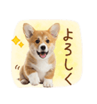 ゆるかわ！コーギーの日常スタンプ（個別スタンプ：29）