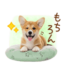 ゆるかわ！コーギーの日常スタンプ（個別スタンプ：32）
