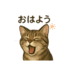 ちょろの1日（個別スタンプ：1）