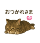 ちょろの1日（個別スタンプ：6）