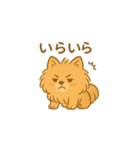 愛犬の勘定（個別スタンプ：4）