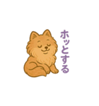 愛犬の勘定（個別スタンプ：13）