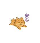 愛犬の勘定（個別スタンプ：14）