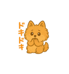 愛犬の勘定（個別スタンプ：17）