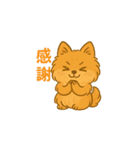 愛犬の勘定（個別スタンプ：19）