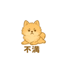 愛犬の勘定（個別スタンプ：23）