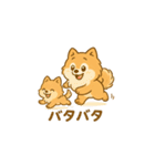 愛犬の勘定（個別スタンプ：24）