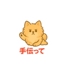 愛犬の勘定（個別スタンプ：30）