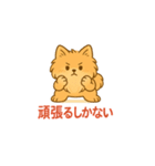 愛犬の勘定（個別スタンプ：31）