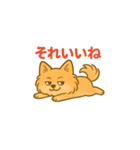 愛犬の勘定（個別スタンプ：38）