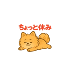 愛犬の勘定（個別スタンプ：40）