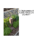 まじは（個別スタンプ：8）