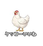 ギャグの二ワ男（個別スタンプ：3）